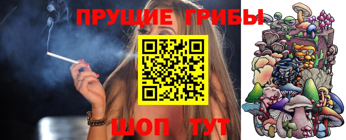 Красный Сулин  Псилоцибиновые грибы ЛСД  Вход с VPN 