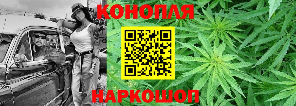 Бошки марихуана OG Kush Красный Сулин